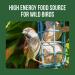 Fat Balls for Wild Birds (50) - High Energy Suet Feed Nutritious Great for Hanging Feeders Attracts Birds to Garden All Year Round - Honeyfield's 4.25 kg (Pack of 1) Tub of 50 Fat Balls 4.25 kg (Pack of 1) - Buy Online on GoSupps.com