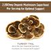 Om Turkey Tail Mushroom Superfood Powder - 100 Servings, Immune Support & Gut Health Supplement - 7.05oz - Buy Online on GoSupps.com
