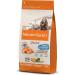 Nature's Variety Selected - Dry Dog Food for Medium and Large Breed Adult Dogs - Grain Free - with Boneless Norwegian Salmon - 2kg - Buy Online on GoSupps.com