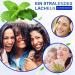 P-Beauty 2 Packs 28 Strips Home Teeth Whitening Strips with Mint Flavor Snow White Smile White Teeth Whitening Strips - Buy Online on GoSupps.com