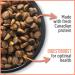 Nutrience Care Sensitive Skin & Stomach Hypoallergenic Cat Food Salmon & Pumpkin 5 kg (11 lb) 5 kg (Pack of 1) - Buy Online on GoSupps.com
