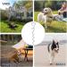 Heavy-Duty Ground Anchor & Mooring Stake for Large Dogs | Secure Dog Leash & Beach Spike - Buy Online on GoSupps.com