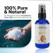 No Crap In It Magnesium Spray Triple Action!- Your Way to Wellness | Immediate Relief with Our Unique Magnesium Glycinate Citrate Chloride Blend Spray (Scent Free) - Buy Online on GoSupps.com