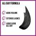 Maybelline The Falsies Lash Lift Mascara - Washable Volumizing & Lengthening - Blackest Black - Buy Online on GoSupps.com