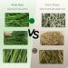 OHCOOL Timothy Hay 1000g - Premium Hay for Rabbits Tortoise Guinea Pig Chinchilla - Dust Free Natural Fresh Hay (500g 2 Packs) Timothy Hay 1000g 1 kg (Pack of 1) - Buy Online on GoSupps.com