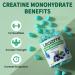 Creatine Monohydrate Gummies 5000mg - Chewable Supplement for Men & Women - Blueberry Flavor (120 Count) - Boost Energy & Muscle Performance - Buy Online on GoSupps.com