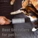 Invero 3 Pack of Lint Roller and 6 Sticky Refill Replacement Heads - Removes Easily Fur Hairs Dust Fluff from Animals Cloths Furniture Carpets Car Seats and more - Buy Online on GoSupps.com