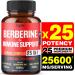 Premium Berberine Supplement 25600mg with Ceylon Milk Thistle Ashwagandha Turmeric Elderberry & Black Pepper - Supports Immune System Cardiovascular & Gastrointestinal - 120 Capsules 120 Count (Pack of 1)