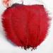 THARAHT 24pcs Red Ostrich Feathers 10-12Inch for Wedding & Party Centerpieces - Bulk Natural Feathers for Easter, Gatsby & Home Decor - Buy Online on GoSupps.com