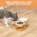 Lusifaco Set of 3 Single Elevated Cat Bowls with Bamboo Stand - 13 oz Ceramic Raised Food Water Dishes for Cats and Small Dogs - Buy Online on GoSupps.com