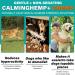 HUALIJIA Calming Treats For Dogs 150 Count Hemp Calming Chews for Dogs - Reduce Stress Relief Separation Barking Fireworks Thunderstorms - 100% Natural Ingredients Dogs Calming Treats (Chicken) - Buy Online on GoSupps.com