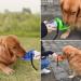 Large 24 oz Dog Water Bottle - Portable Travel Bowl for All Breeds Safe Spout - Ideal Hydration Solution - Buy Online on GoSupps.com
