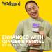 Wellgard Gutstar Probiotics - 16 Strain Probiotics for Gut Health with Fennel and Ginger Vegan UK Made - Buy Online on GoSupps.com
