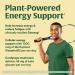 MegaFood Superfood Mushroom Energy Support - Cordyceps Mushroom Supplement with Methylated B12 Vitamins & Panax Ginseng - Doctor Formulated, Gluten-Free, Vegan - 60 Capsules, 30 Servings - Buy Online on GoSupps.com
