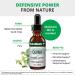 NutraMedix Quina 1 oz (30 ml) - Natural Herbal Supplement for Health Support - Buy Online on GoSupps.com