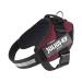 IDC Powerharness Size: XL/2 Bordeaux Bordeaux XL/2