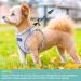 Haapaw Adjustable No Pull Dog Harness & Leash Set - Reflective Step-In Puppy Harness for Extra Small & Small Medium Dogs (Beige S) - Buy Online on GoSupps.com