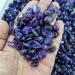 Natural Crystal Rough Gemstones for Decoration Polished Amethyst Crushed Stone Purple Quartz Minerals Specimen Raw Stone Random Shape Grave for Fish Tank Aquarium Aura Crystal (Size : 300g) - Buy Online on GoSupps.com