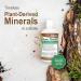 Vital Earth Minerals Humic Minerals - Vegan Liquid Trace Mineral Supplement, 32 Fl Oz - Buy Online on GoSupps.com