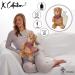 K Collection 3D Novelty Hot Water Bottle - Teddy Bear Design with Plush Cover - Buy Online on GoSupps.com