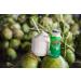 Taste Nirvana Real Coconut Water 9.5oz Glass Bottles (Pack of 12) - Premium Quality - Buy Online on GoSupps.com