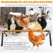 10W Adjustable Chicken Heating Ribs - Thermal Coop Warmer for Birds & Pets | Constant Temperature Breeding Station - Buy Online on GoSupps.com