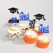 Ercadio 48 Pack 2023 Graduation Cupcake Toppers Black Blue Glitter Grad Cap Diploma Class of 2023 Cupcake Picks for 2023 Graduation Theme Party Cake Decorations Supplies B-grad Blue - Buy Online on GoSupps.com