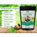 AYURVEDASHREE Triphala Powder 200 Gm - Daily Detox & Rejuvenation Formula - Immune Support - Non GMO - Vegan - GMP Certified - Buy Online on GoSupps.com