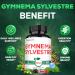 1000mg Gymnema Sylvestre Supplements - 210 Capsules - Gymnema Extract 20:1 with Berberine HCl, Quercetin & More - Support for Immune, Digestive Health & Body Management 210 Count (Pack of 1) - Buy Online on GoSupps.com