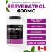 Renew Actives Resveratrol Supplement 600mg per Serving - High-Potency Antioxidant Complex with 50% Trans-Resveratrol Supports Cellular Health & Longevity - Made in Canada 60 Vegan Capsules - Buy Online on GoSupps.com
