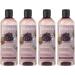  sarcia.eu ITINERA - Smoothing Body Wash with Tuscan Red Grapes 95% natural ingredients 370 ml 3 pieces - Buy Online on GoSupps.com