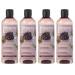 sarcia.eu ITINERA - Smoothing Body Wash with Tuscan Red Grapes 95% natural ingredients 370 ml 4 pieces