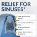 EquiLife Sinus Support - Promotes Nasal Congestion & Mucus Relief - Immunity Boost with Herbs, Antioxidants & Amino Acids - Gluten-Free - 20 Servings - Buy Online on GoSupps.com