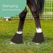 Nobleza Overreach Horse Boots: Durable Neoprene Protection for Equestrian Safety - Buy Online on GoSupps.com