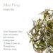 Mao Feng Gr ner Tea - Authentic Huangshan Green Tea from China | Organic Maofeng Yellow Mountains Loose Leaf | Buy Now! - Buy Online on GoSupps.com