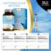LN Lactobacillus Reuteri 90 Capsules - 5 Billion CFU High Strength Probiotic | Non-GMO Gluten-Free | Made in the UK - Buy Online on GoSupps.com