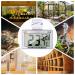 Capetsma Reptile Thermometer Hygrometer for Terrarium - Accurate Digital Monitor for Temperature & Humidity - Easy-to-Read, Wire-Free (1 Pack) - Buy Online on GoSupps.com
