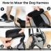 Dog Lifting Harness for Medium Dogs | Adjustable Support for Back Legs | Pain Relief & Rehabilitation | Lift Handle - Buy Online on GoSupps.com