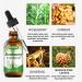Rosemary Oil for Hair Growth | Natural Essential Oil for Thinning Hair Dry Scalp Relief & Improved Circulation | 60ml Hair Loss Treatment - Buy Online on GoSupps.com