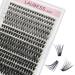 Cluster Lashes 300 Pcs Individual Lashes LAUBESS Lash Clusters False Eyelashes Individual Cluster Eyelash Extensions Eyelash Clusters DIY Lash Extension Kit (20D/40D/50D-0.07C-8-16mm) 20D/40D/50D-0.07C Mix 8-16mm