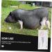 Iplusmile 4-Piece Animal Pregnancy Test Strips for Pigs | Agricultural Supplies | Farm Animal Pregnancy Testing Tool - Buy Online on GoSupps.com