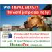 HomeoPet Travel Anxiety Relief for Dogs, Cats & Small Animals - 15ml - Buy Online on GoSupps.com