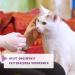 Feliway 066096 - Classic Pheromone Diffuser Refill 48 ml Cat Stress Reducing - Buy Online on GoSupps.com