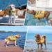 Kuoser Durable Dog Life Jacket - High Buoyancy Safety Vest for Small Medium & Large Dogs - Yellow - Buy Online on GoSupps.com