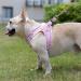 Doramio Dog Harness for Small Dogs - Reflective Breathable Step-In Design with Leash - XL Pink Safety for Dogs & Cats - Buy Online on GoSupps.com