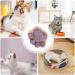 Kitten Treats - Cat Treats for Indoor Cats - Natural Healthy Cat Snacks Treats | Cat Paw Biscuits Cat Treat | Dry Cat Treats Kitten Treats | Kitten Treats Paw Shape Cat Food Treats | Treats for Cat Purple - Buy Online on GoSupps.com