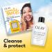 Olay Complete+ Face Moisturizer with Sunscreen SPF 40 For Sensitive Skin Broad Spectrum Sun Protection Fragrence-Free - No White Cast on All Tones Nourishes Moisture Barrier - Ceramides 6 Oz 6 Fl Oz (Pack of 1) - Buy Online on GoSupps.com