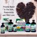 Nature's Answer Alcohol-Free Sambucus Black Elderberry Extract - High-Quality Immune Support - Buy Online on GoSupps.com