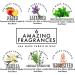 Fleur De Spa Paraffin Wax Refill - Acai, Coconut Oil, Jojoba, Aloe Infused - Vanilla Flower 1 Pound (Pack of 1) - Made in USA - Buy Online on GoSupps.com