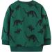 Boys Dinosaur Sweatshirt - Cotton Long Sleeve Pullover - Green - Sizes 1-8 Years - Buy Online on GoSupps.com